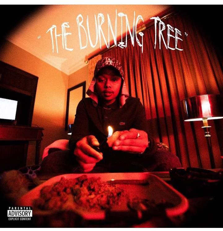 Download New Album: A-Reece – The Burning Tree