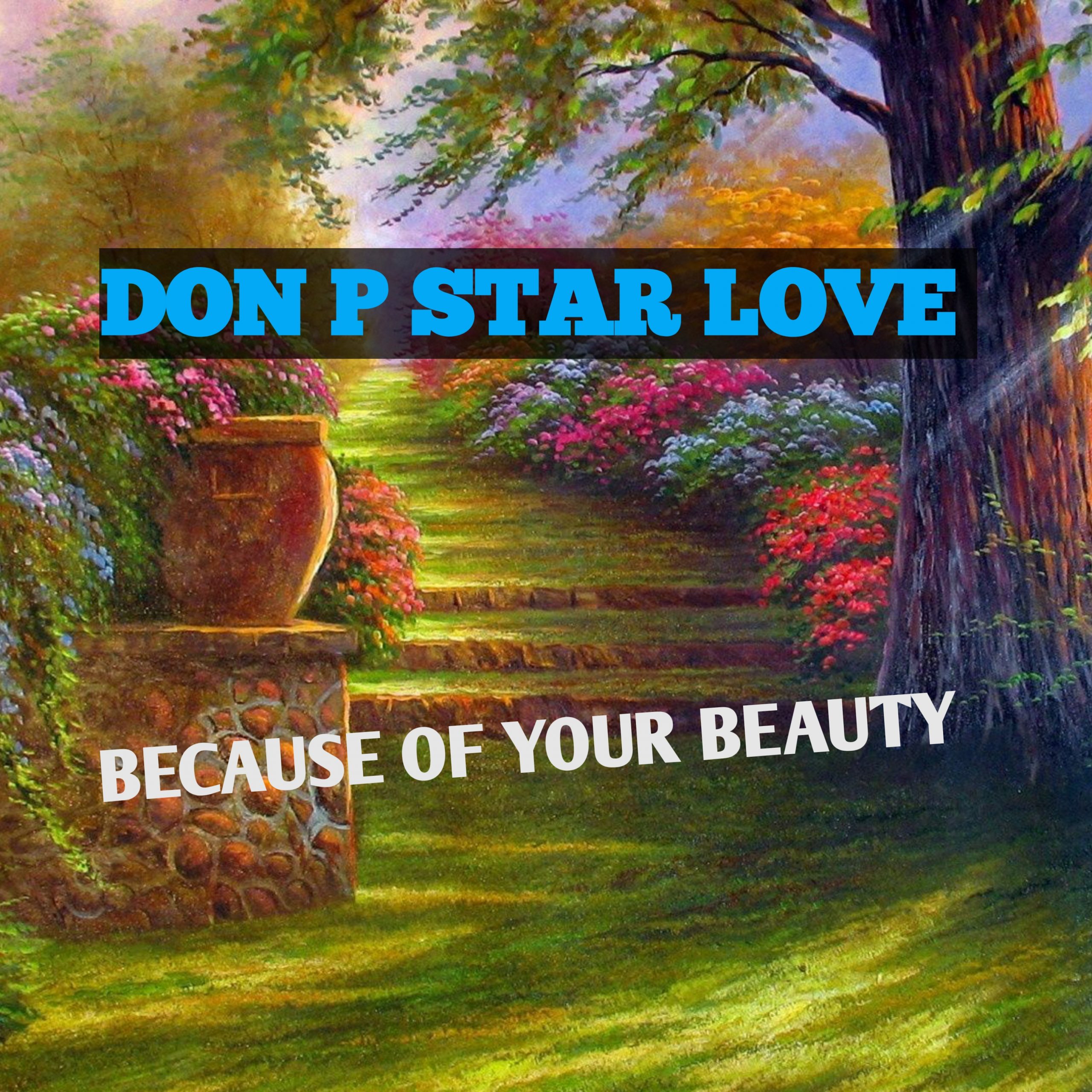 Don P Star Love – Because Of Your Beauty
