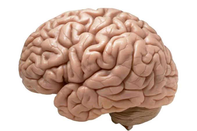 5 Brain Exercises to Improve Memory and Sharpen Your Mind
