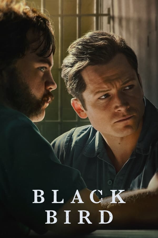 Black Bird Season 1 (COMPLETE) [TV Series]
