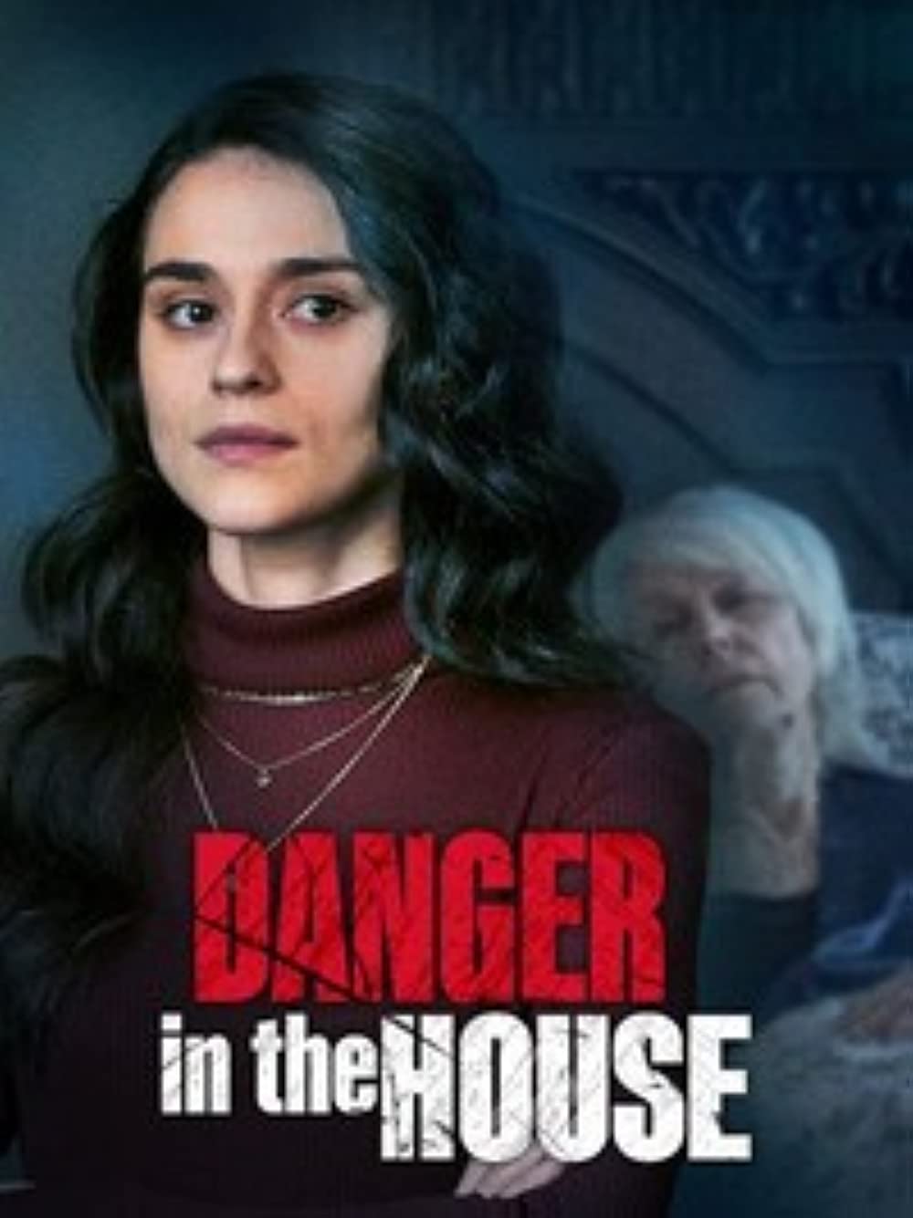 Danger in the House (2022) [Hollywood Movie]