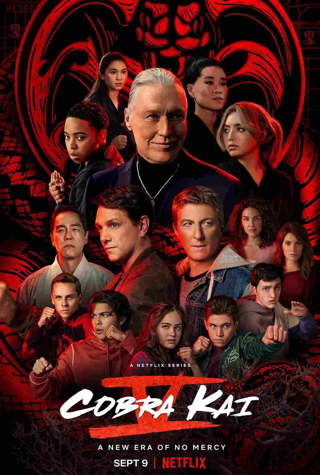 Cobra Kai Season 5 (Complete) [TV Series]