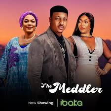 The Meddler – Nollywood Movie