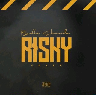 Bella Shmurda – Risky (Cover)