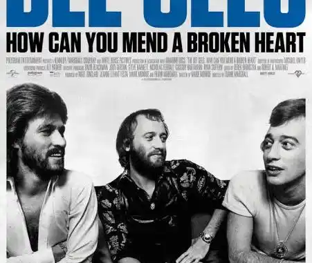 About The Bee Gees: How Can You Mend a Broken Heart (2020) (Documentary)