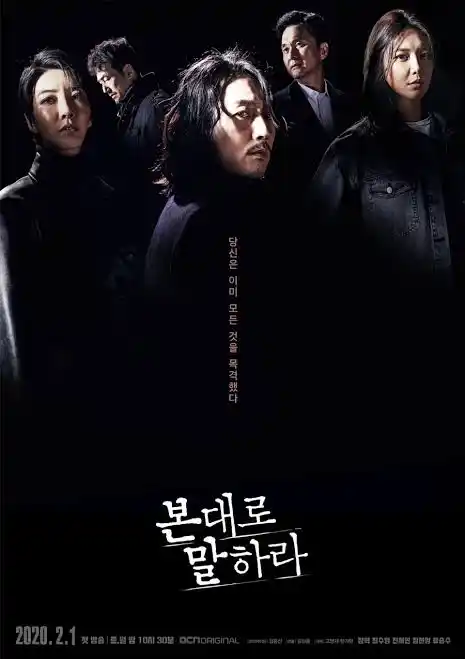 Tell Me What You Saw (Korean Drama)