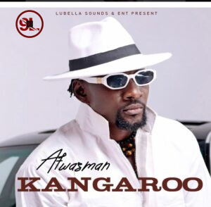 MUSIC : Afwasman Kangraoo