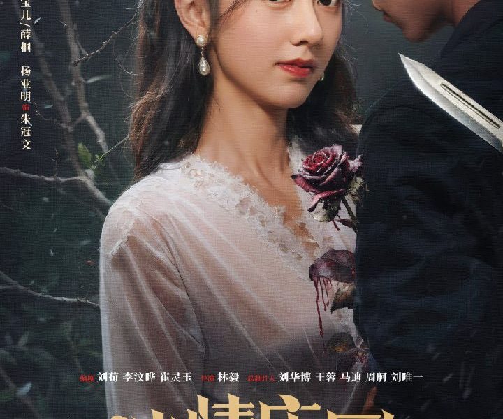 Miss Mystery (Chinese Drama)