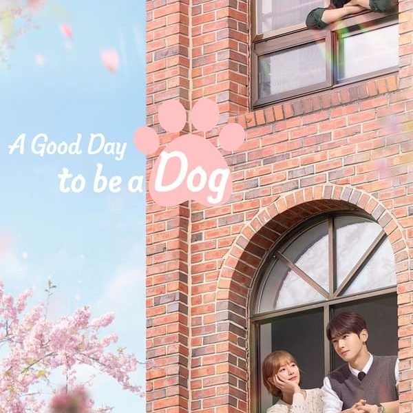 A Good Day to Be a Dog (2023) Season 1 (Complete) [Korean Drama]