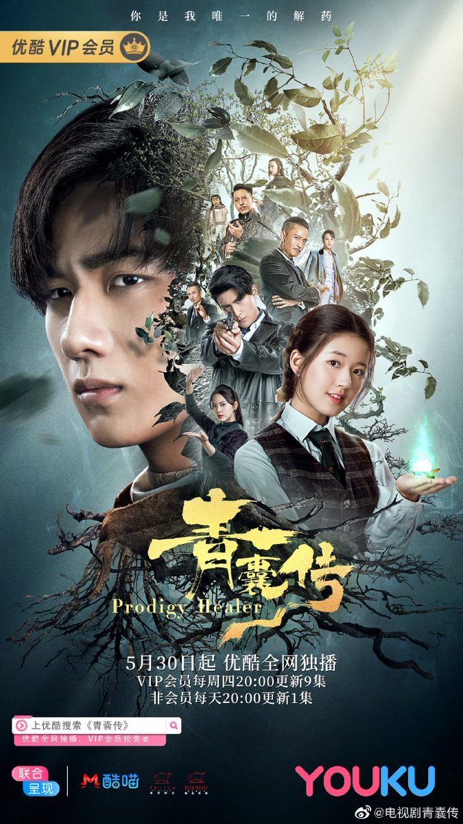 Prodigy Healer (2019) Season 1 (Complete) [Chinese Drama]